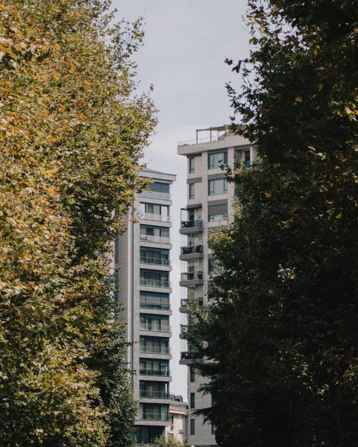 who-we-are Modern high-rise apartments framed by lush green trees on a clear day.